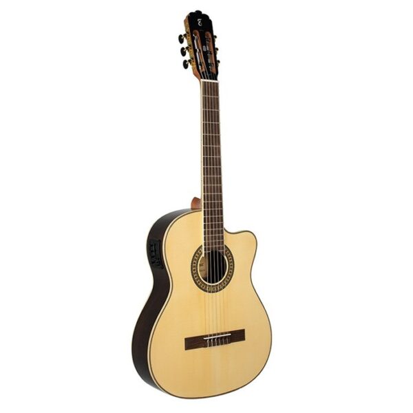 Guitarra Electroacústica Tagima WS-10 EQ NT