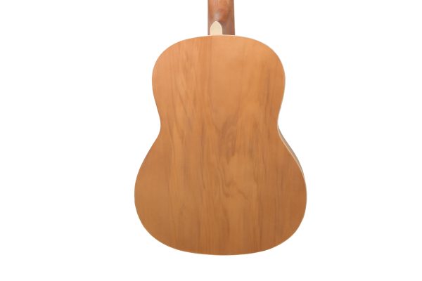 GUITARRA ACUSTICA DE INICIACION PARATY - Imagen 5