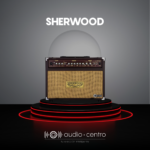 AMP GUITARRA ACÚSTICA CARLSBRO SHERWOOD 60 W