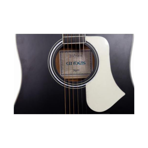GUITARRA ELECTROACÚSTICA TAGIMA ANDES EQ BKS DF - Imagen 4